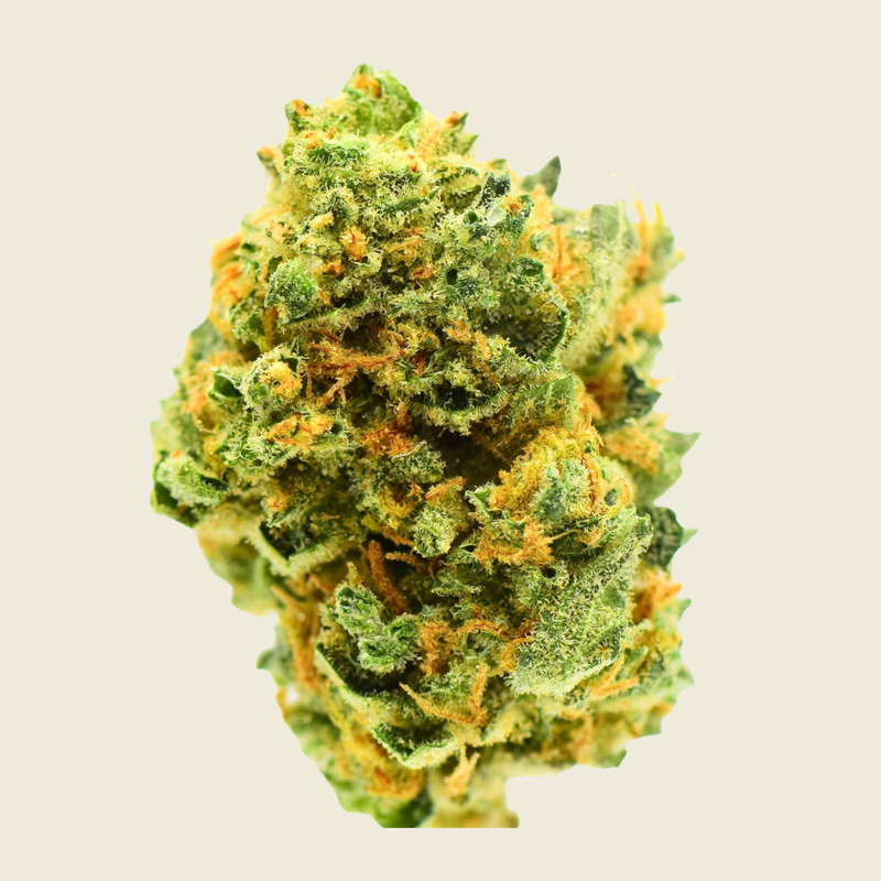Lemon Haze Green House Flower (Indica) - Sticky Green Flower