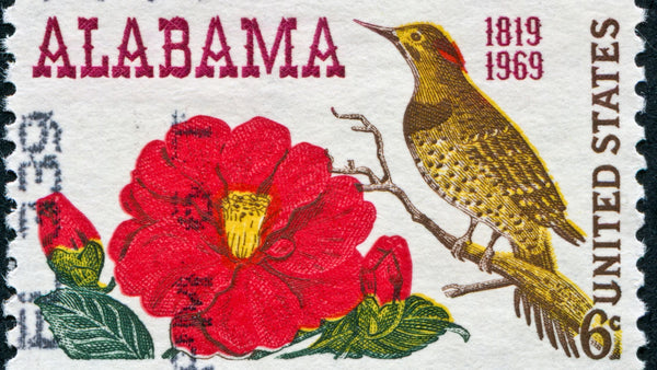 Is THC Legal in Alabama