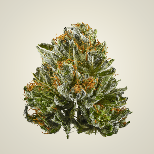CBD