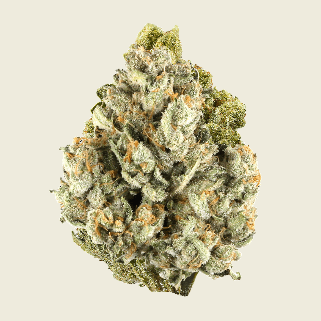 Colombia Gold Infused Top Shelf Pre Rolls (Sativa) - Sticky Green Flower