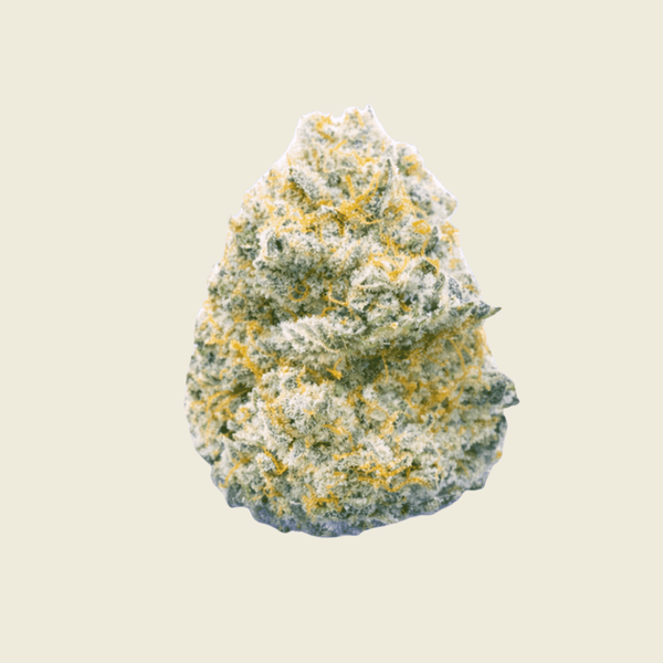 Indica