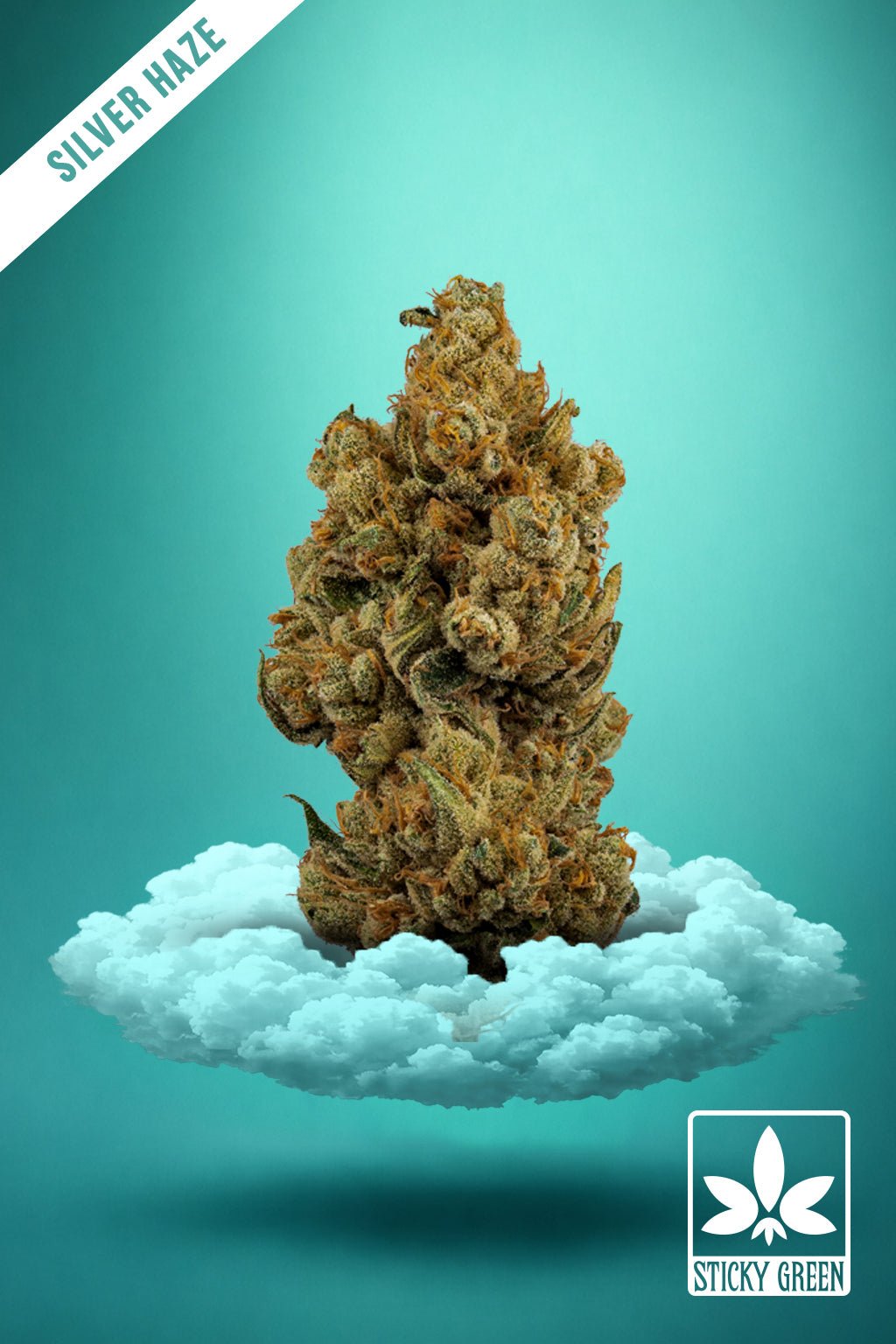 Silver Haze High Grade hemp flower bud, Sativa cultivar from Sticky Green