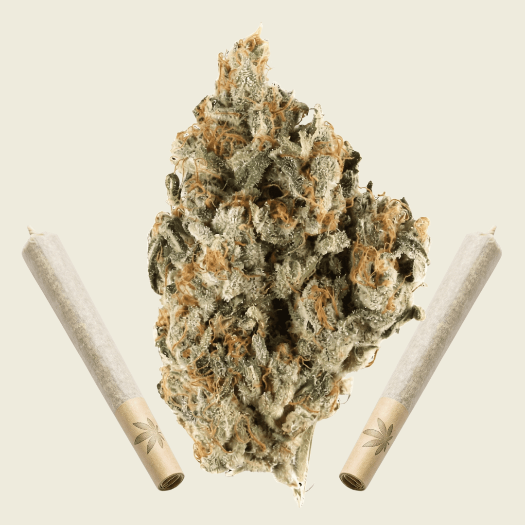Silver Kush High Grade Pre Rolls (hybrid) - Sticky Green Flower