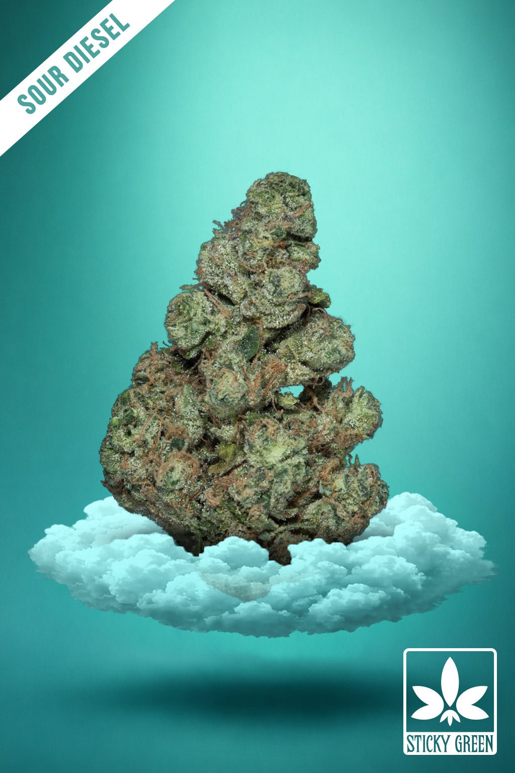 Sour Diesel Kush Rx hemp flower bud, Indica cultivar from Sticky Green