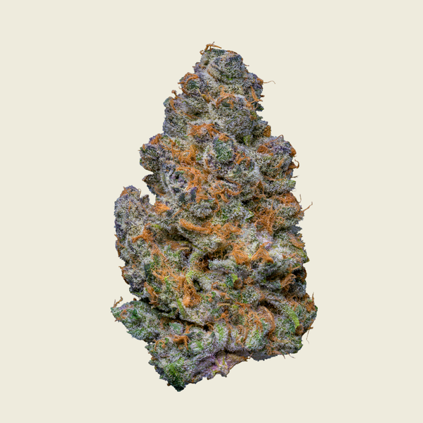 Hybrid